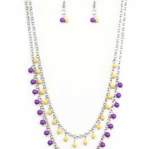 Paparazzi accessories necklace